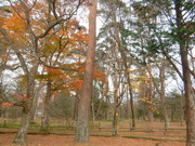 DSCN1027
