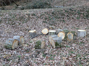 PXL_20260228_073138474
