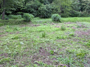 PXL_20260622_095350151
