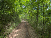 PXL_20260516_041952172