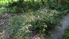 PXL_20250827_024657157