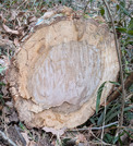 PXL_20260224_075212175
