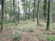 P9290021