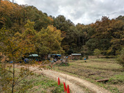 PXL_20251117_235915726