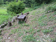 PXL_20260622_090539634