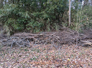 PXL_20260305_082154275