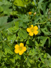 PXL_20260509_022928375