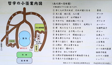 PXL_20260704_070652324
