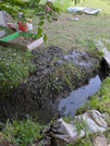 PXL_20260509_085244456