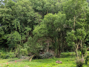 PXL_20260616_064643570