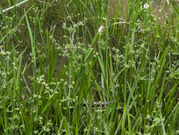 PXL_20260606_013203949