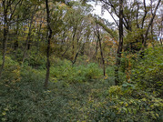 PXL_20251117_234831969