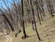 PXL_20260308_021843381