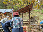 PXL_20251123_003606941