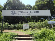 P8010022
