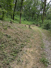 PXL_20260731_041232037