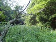 P7010051