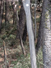 PXL_20260301_020458436