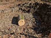 PXL_20251217_025655782