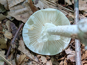 PXL_20260805_051804846