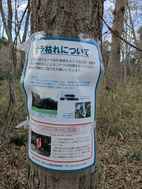 PXL_20260319_070413274