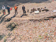 PXL_20251212_025456710