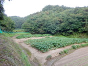 DSCN9629