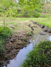 PXL_20260419_074040045