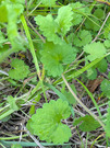 PXL_20260505_085205703