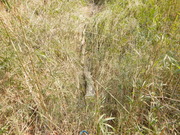 DSCN3117