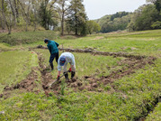 PXL_20260409_020459750