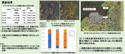 TWC被害軽減の減みB2
