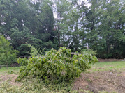PXL_20260530_092807202