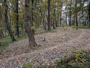 PXL_20251113_022341589