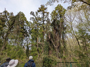 PXL_20260405_041126187
