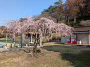 PXL_20260323_051743804