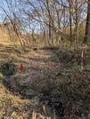 PXL_20260316_063810496