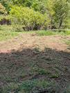 PXL_20260420_043407872