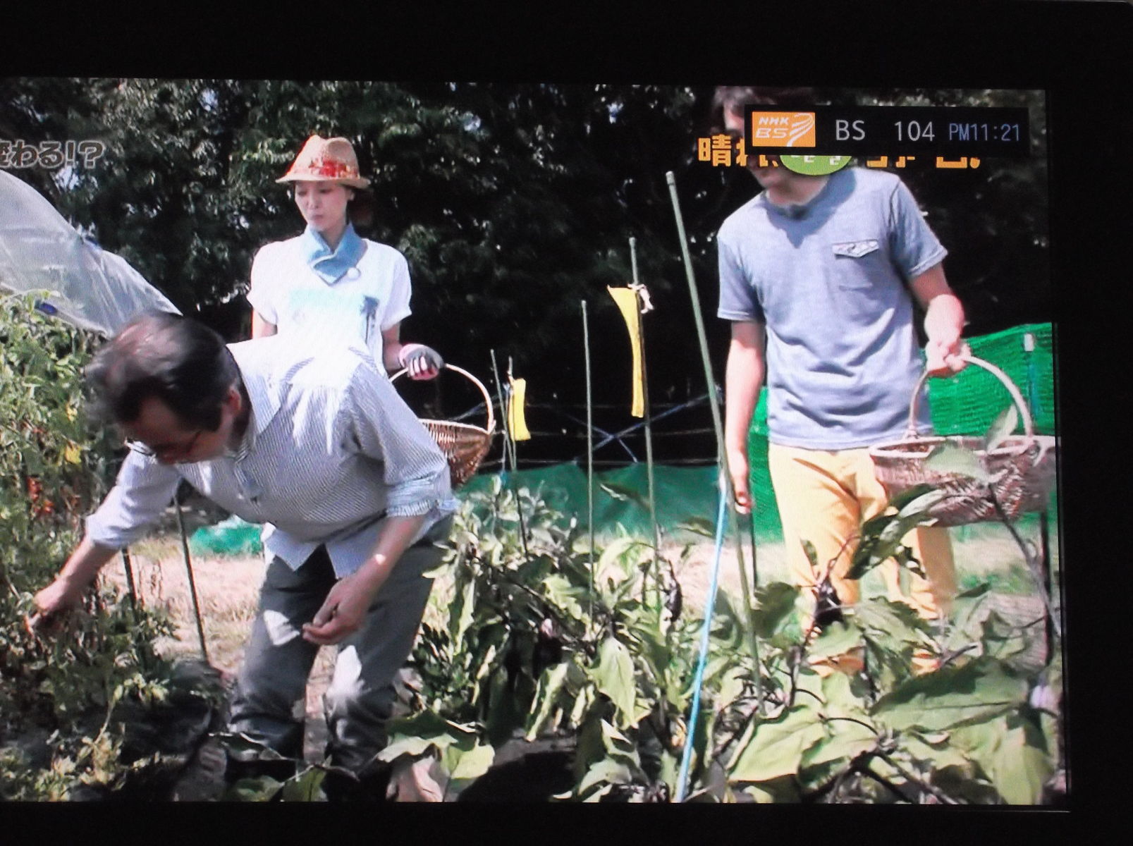 晴れときどきファーム ヒコの日々なんじゃらblog