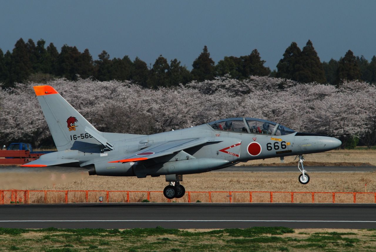 イメージ 2