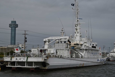 DSC_8533_R