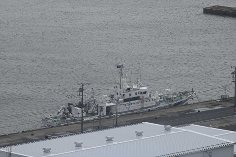 DSC_8520_R