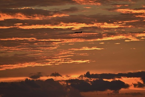 DSC_7159_R
