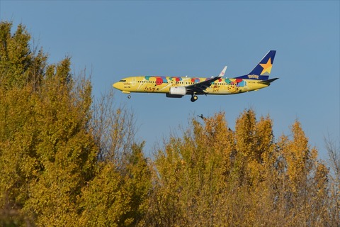 DSC_4239 - コピー_R