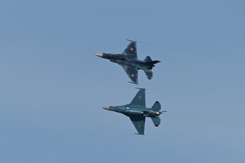 DSC_8379