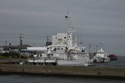 DSC_8536_R