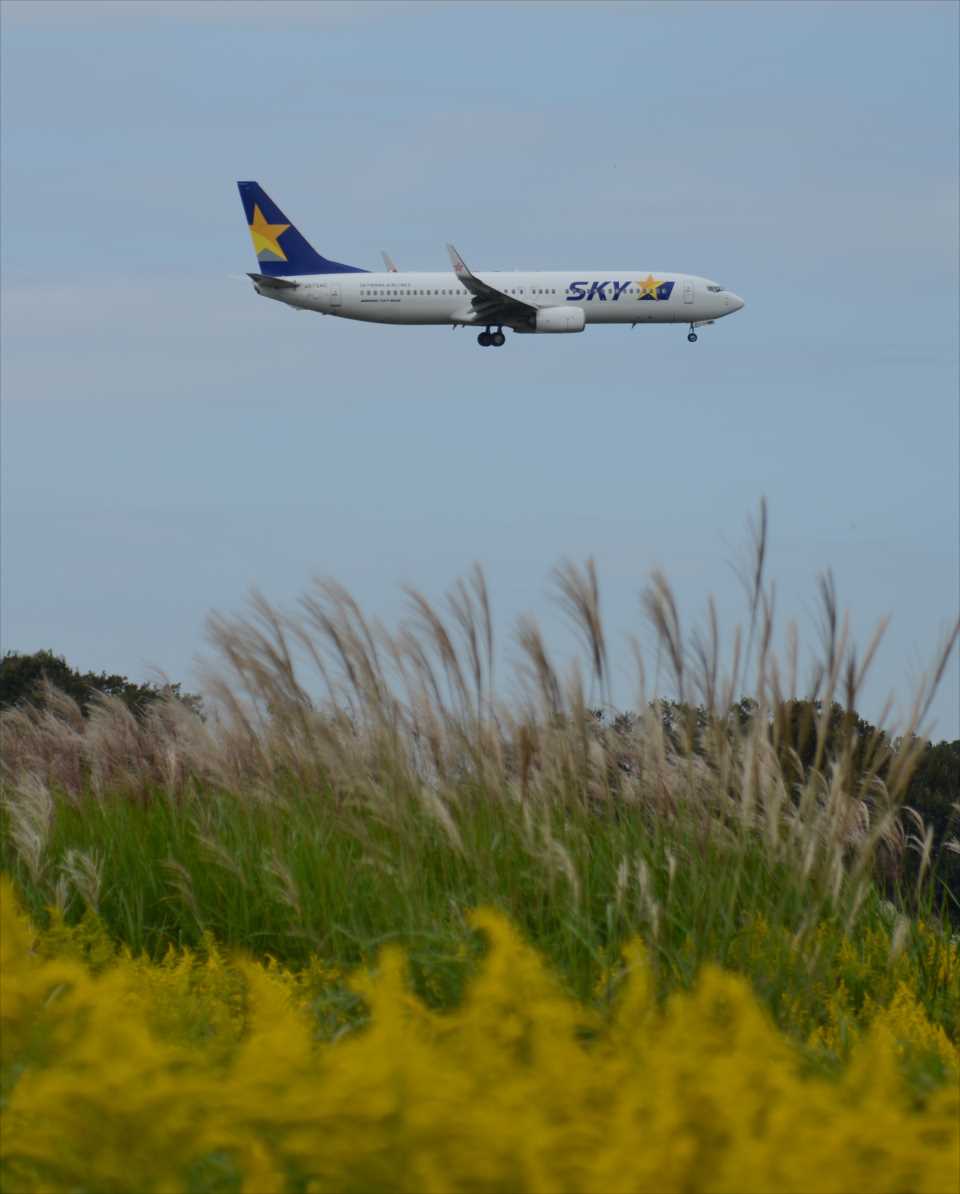 スカイの百里はススキが原 : 飛行老人の飛行機話