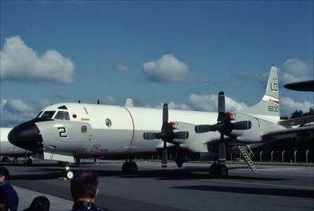IAT198106280010_R_R