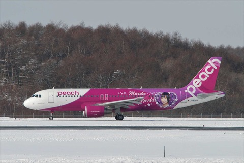 ＪＡ８０５Ｐ，２０１４０２０１ＣＴＳ (6)_R