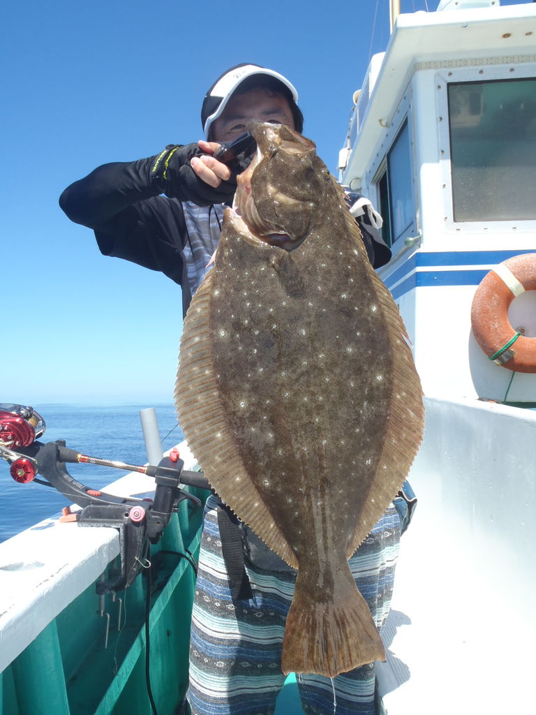 9月8日 赤イカ 泳がせ釣り 能登半島 釣船 彦左衛門丸
